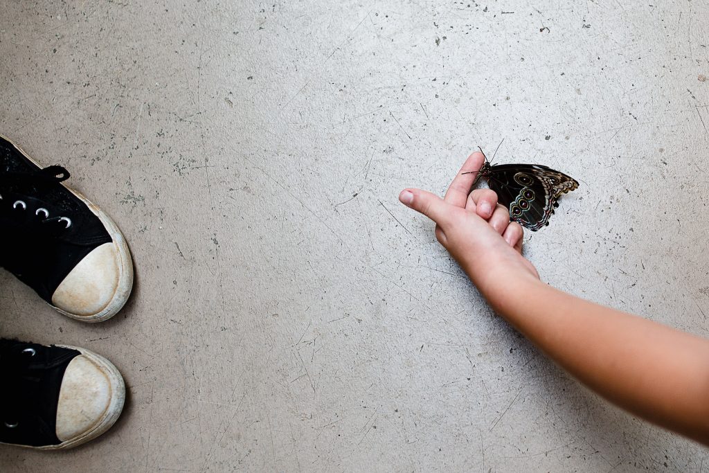 foot and an hand carrying a butterfly in the floor