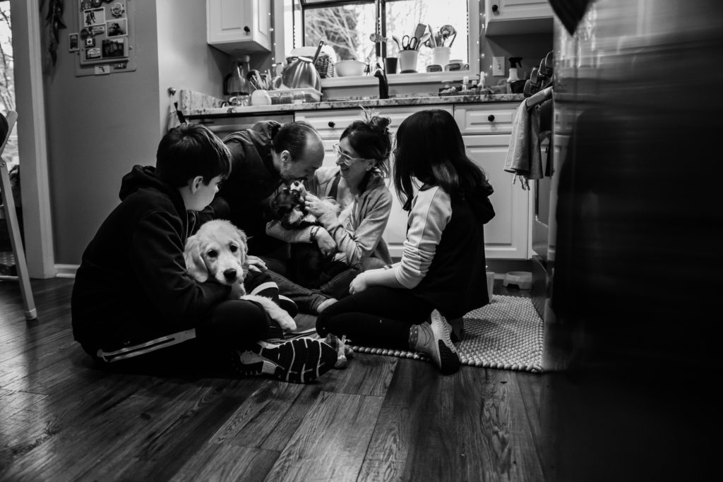 family with dogs in the kitchen