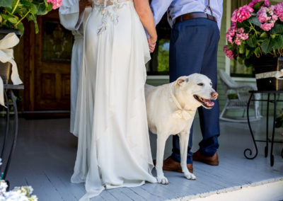 dog at the wedding close to the bride and groom